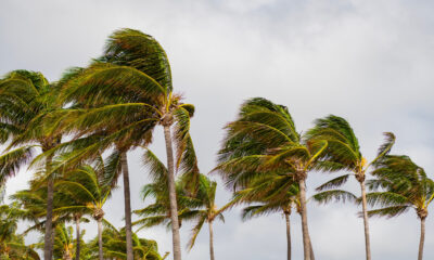 Dans les années 40, des scientifiques ont jeté de la neige carbonique dans un ouragan. Ils ne s'attendaient pas à ce qui se passerait ensuite.