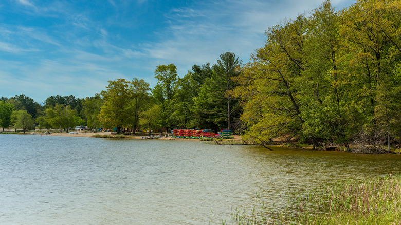 Secteur de la plage du lac Hamlin, eau et plage de sable avec embarcations nautiques, arbres verts partout
