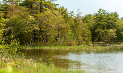 Le plus grand lac artificiel du Michigan est un paradis extérieur pour la baignade, la navigation de plaisance et la pêche