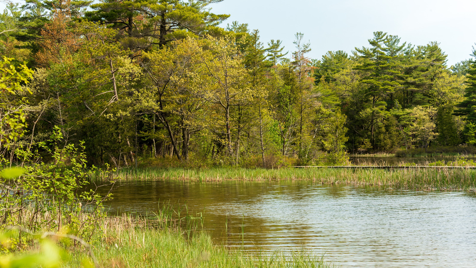 Le plus grand lac artificiel du Michigan est un paradis extérieur pour la baignade, la navigation de plaisance et la pêche
