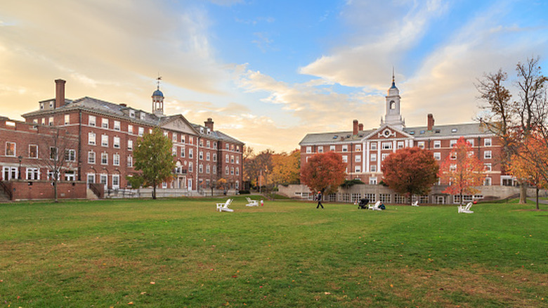 Une photo du campus de Harvard