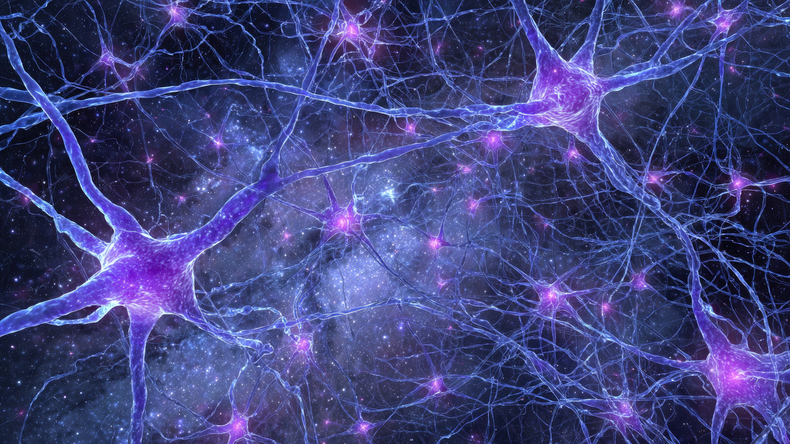 Les scientifiques affirment que les manuels de biologie se trompent sur cette partie du corps depuis plus d’un siècle