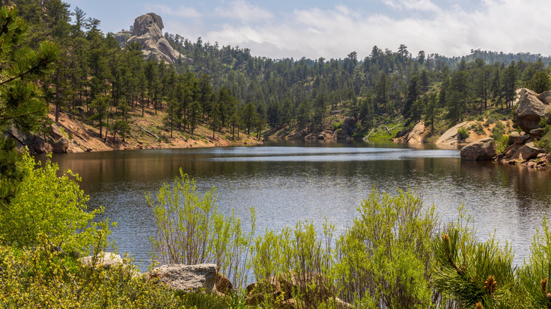 un lac entouré de forêt dans le parc national Curt Gowdy, Wyoming