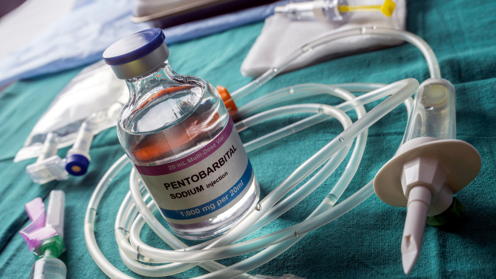 Pourquoi les experts comparent la drogue utilisée lors de l'exécution ratée de Christa Pike à la noyade