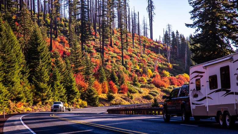 Un camping-car roule le long d'une route traversant le col Santiam, entouré de couleurs automnales