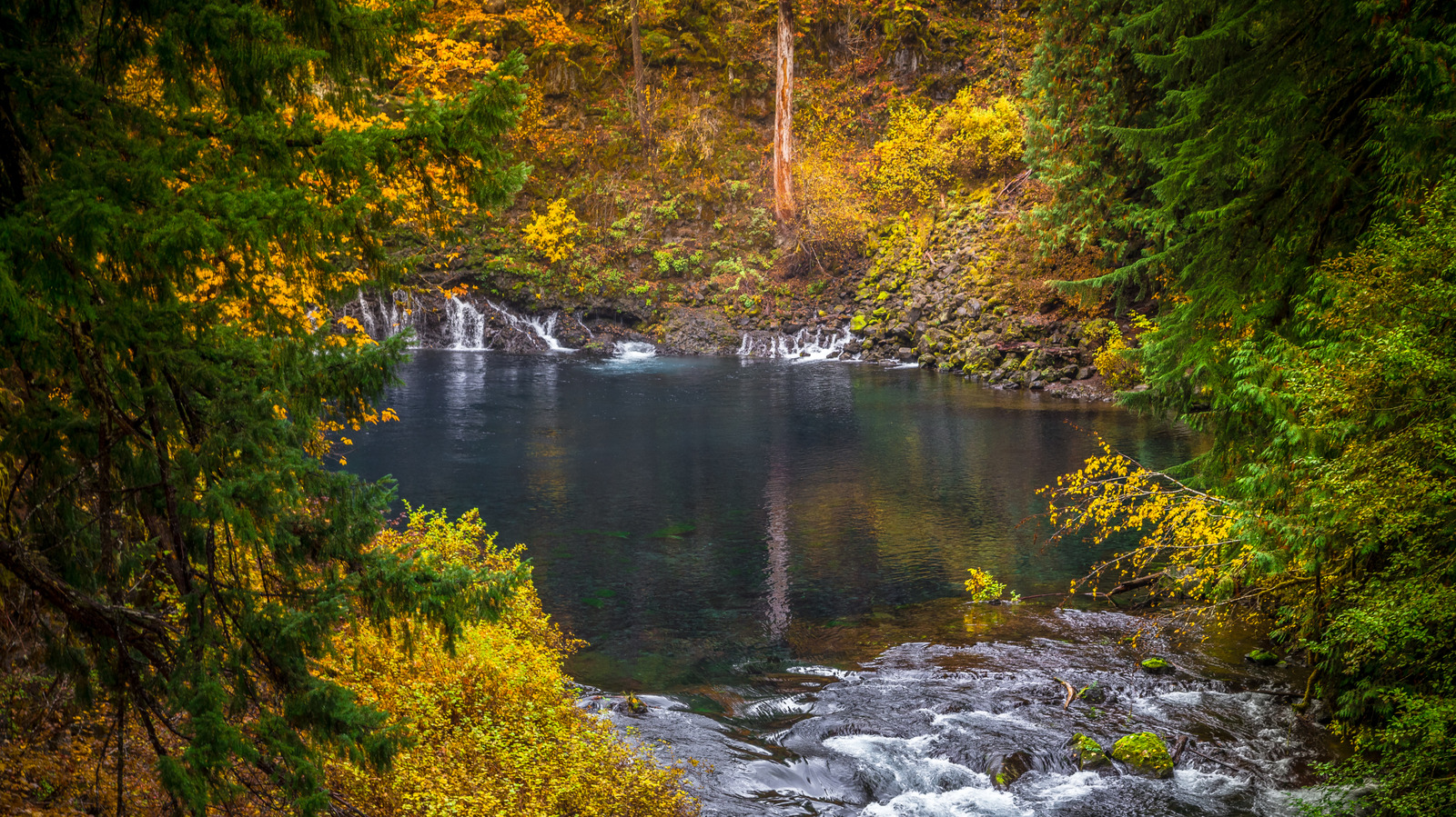 La route des feuillages d'automne de 82 milles de l'Oregon passe devant des champs de lave, des cascades et un lac en voie de disparition