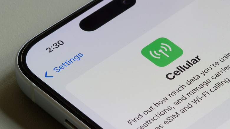 La page des paramètres cellulaires s'affiche sur un iPhone