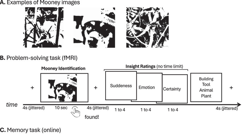 Exemples d'images Mooney utilisées dans l'étude