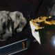 La NASA a écrasé un vaisseau spatial dans un astéroïde. Les scientifiques ne s’attendaient pas à ce qui allait se passer ensuite