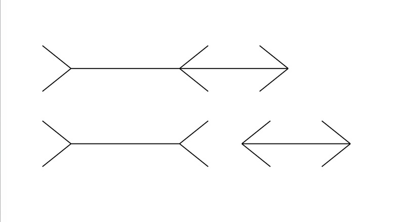 Illusion Müller-Lyer