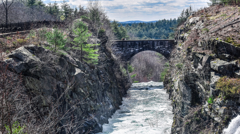 Pont de pierre au-dessus d'un ruisseau profond