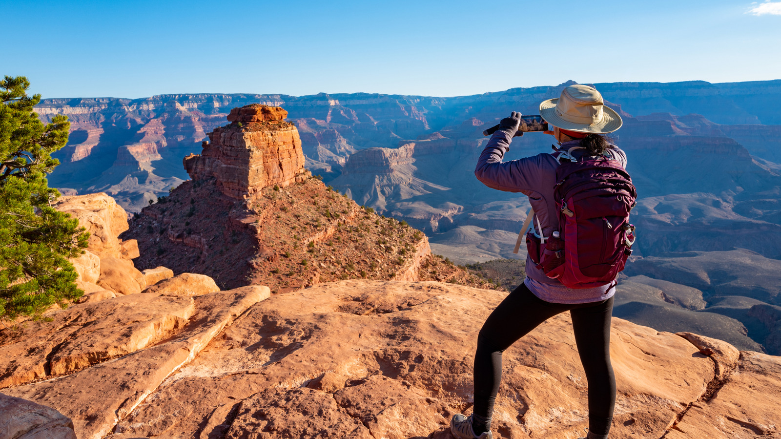 Oubliez la Vallée de la Mort, la route panoramique de ce parc national offre des vues imposantes sur le canyon