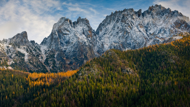 Washington Pass dans le parc national de North Cascade en automne, lorsque les mélèzes deviennent jaune vif parmi les conifères