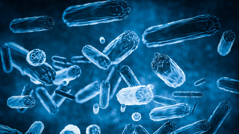 Un rendu de cellules bactériennes