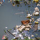 Les scientifiques préviennent que les eaux de la Terre perdent discrètement quelque chose d'essentiel
