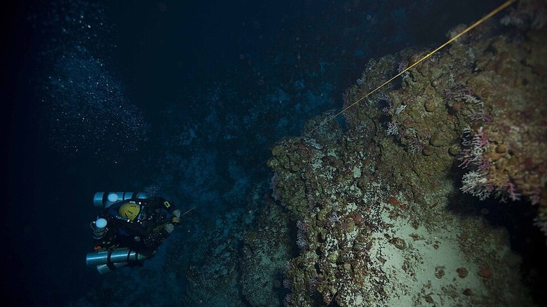 Plongeur se tenant sur la ligne verticale pendant la descente devant le récif de corail