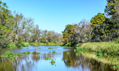 Le nouveau parc d'État de Caroline du Sud, entre Charleston et Myrtle Beach, est une escapade naturelle au bord d'une rivière