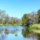 Le nouveau parc d'État de Caroline du Sud, entre Charleston et Myrtle Beach, est une escapade naturelle au bord d'une rivière