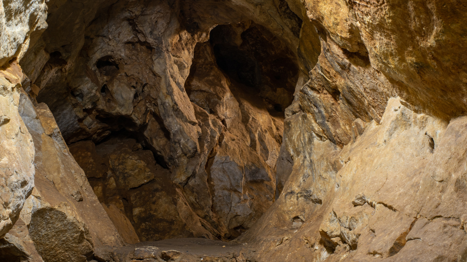 Des scientifiques ont enfermé 15 personnes dans une grotte pendant 40 jours sans horloge. Ils ne s'attendaient pas à ce qui se passerait ensuite.