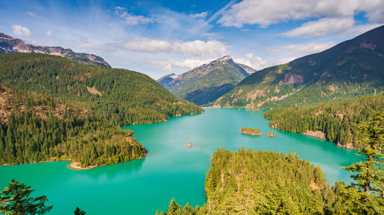 Eau turquoise du lac Diablo entourée de forêt et de montagnes