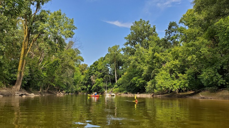 Kayakistes sur la rivière dans une forêt luxuriante dans la zone de loisirs de Mott Park près de Flint, Michigan