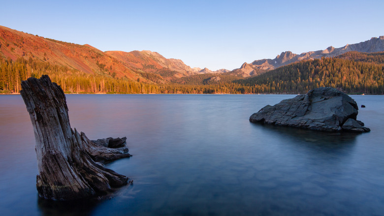 Coucher de soleil doré sur les montagnes et les arbres, avec un lac en contrebas avec un tronc d'arbre et un rocher en saillie