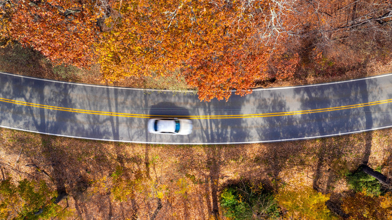 photo aérienne d'une voiture sur Blue Ridge Parkway en Caroline du Nord, entourée de feuilles d'automne