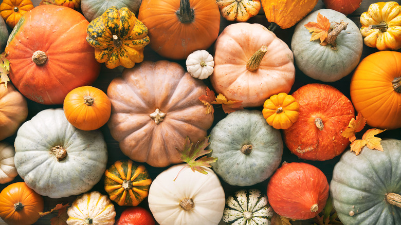 Diverses citrouilles de différentes tailles avec des feuilles d'érable tombées sur le dessus
