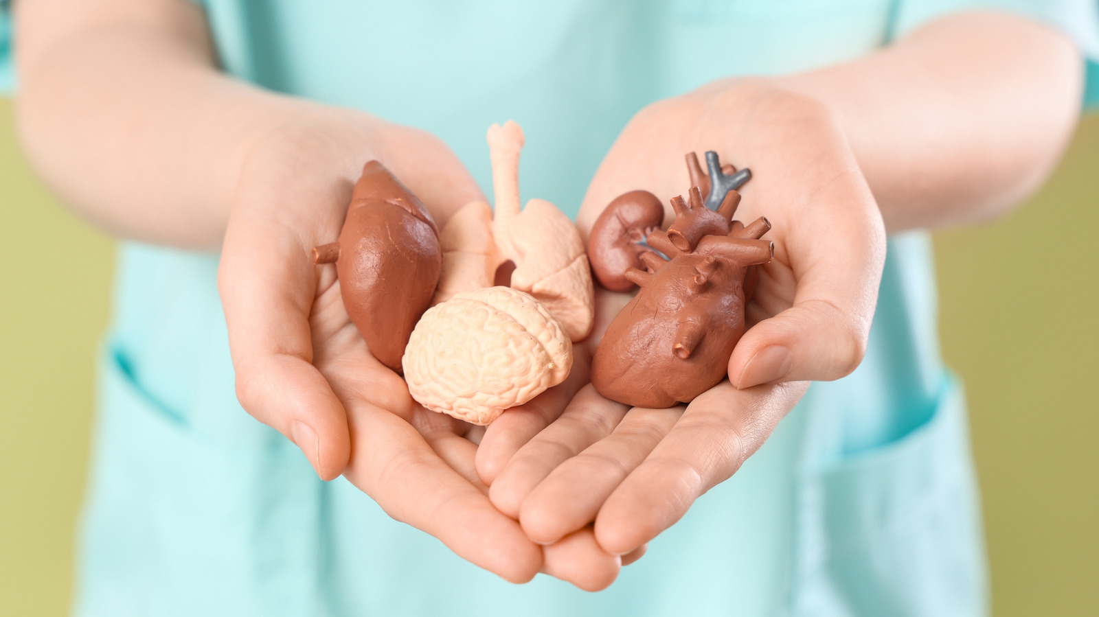 L’organe « vital » surprenant dont vous pouvez réellement vous passer