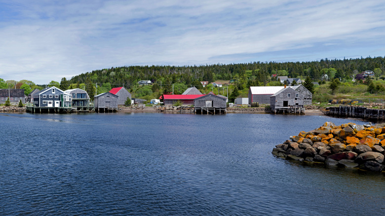 Hangars aux toits rouges et maisons portuaires au bord de l'eau à Seal Cove, île Grand Manan, Nouveau-Brunswick, Canada