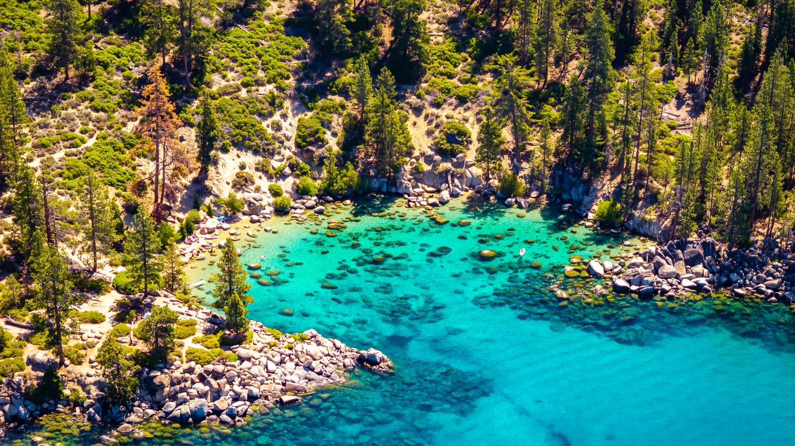La plage secrète du lac Tahoe offre une baignade isolée avec des vues panoramiques