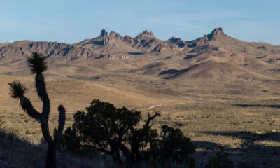 Le monument national sous-estimé de Californie dans le désert de Mojave est une escapade de camping isolée