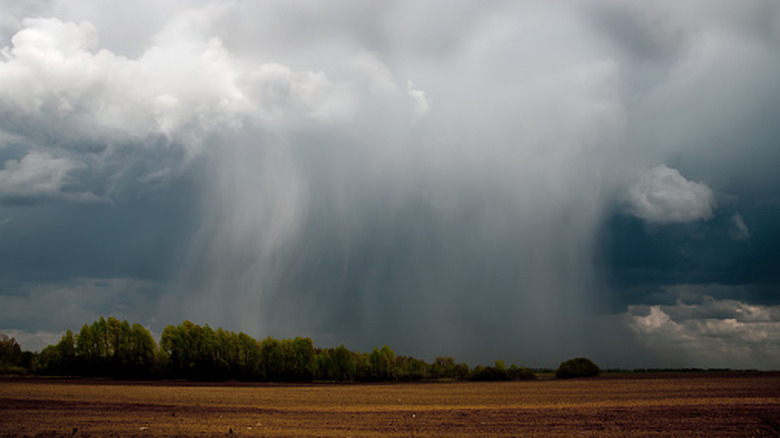 De fortes pluies se déversent des nuages ​​sombres sur un champ labouré