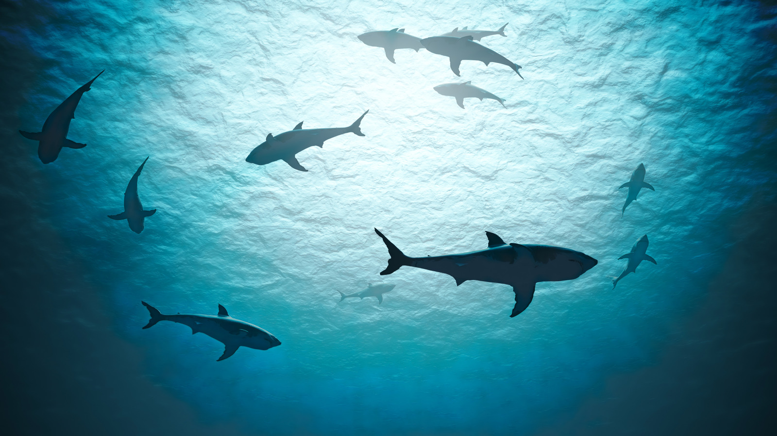 Les 7 créatures les plus effrayantes des profondeurs des océans