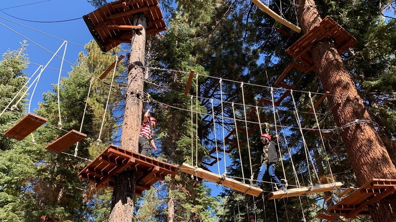 Un enfant traverse un pont bancal entre les arbres des Tahoe Treetop Adventure Parks