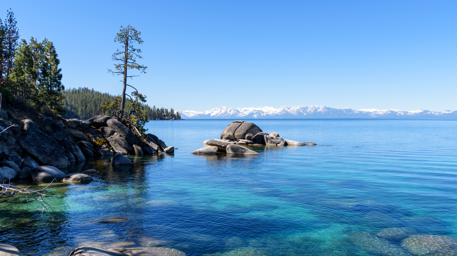 Les parcs d'aventure bien-aimés de Lake Tahoe offrent des sensations fortes en plein air et du plaisir en famille