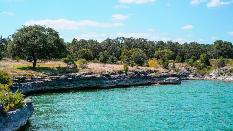 Une crique sur le lac Travis